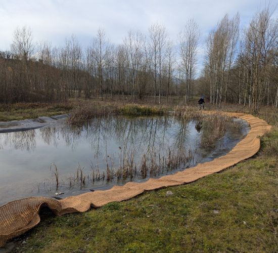 Veille écologique