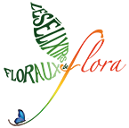 élixirs floraux de flora